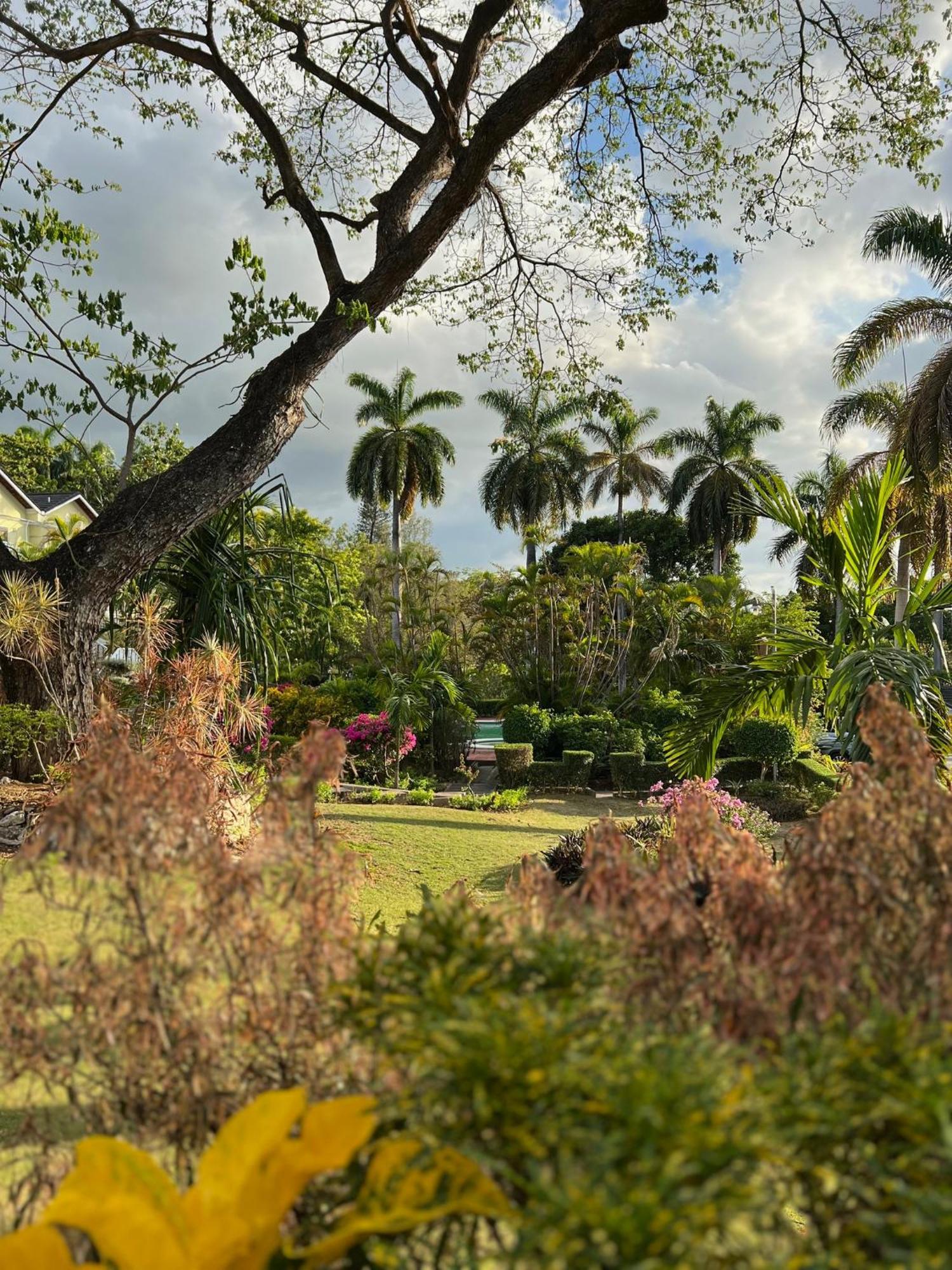 Montego Bay Beach House Exterior photo